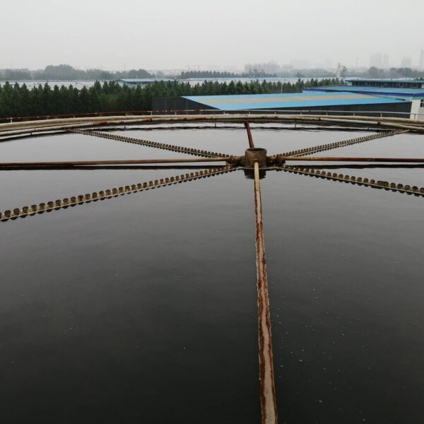 Guangdong Province Printing Wastewater Degradation Data Report